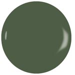 Green Nail Polish Color - NVLA nail polish